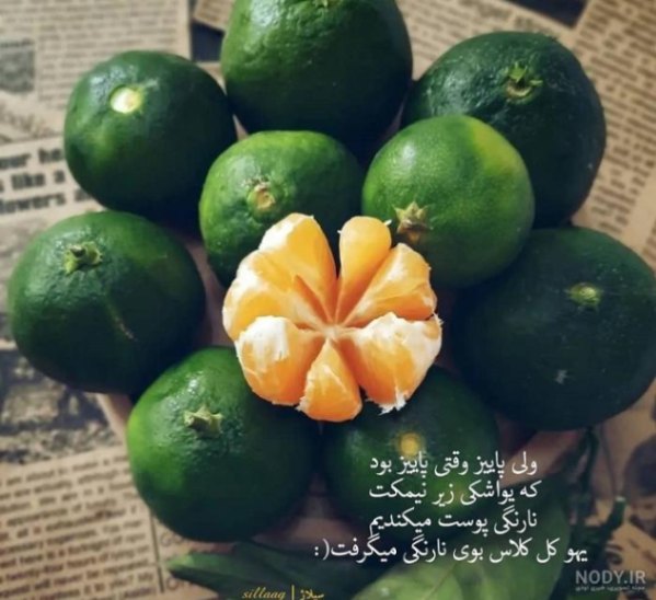 دانلود آهنگ عجب بارونیه تنگه دلم حمیدرضا بابایی و هایده از فارس ترانه